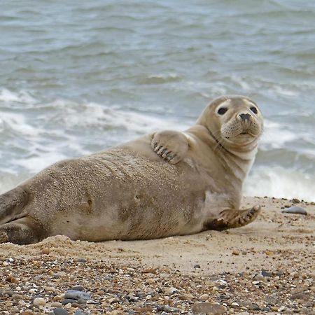 Quiet And Comfy 2- Bedroom Holiday Chalet, Walk To The Beach, Norfolk Great Yarmouth Buitenkant foto